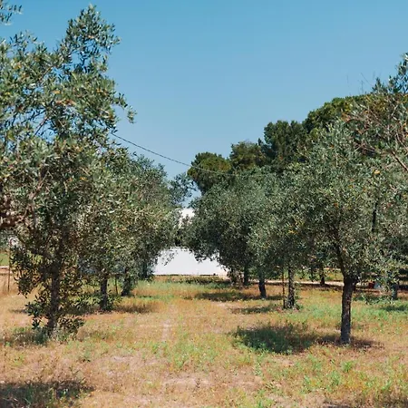 Ferienhaus La Corte Dei Limoni San Cassiano (Lecce)