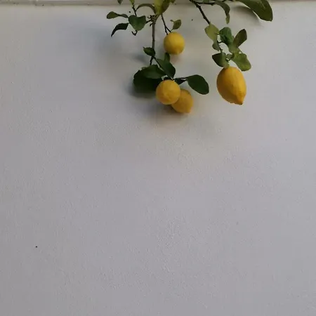 La Corte Dei Limoni San Cassiano (Lecce)